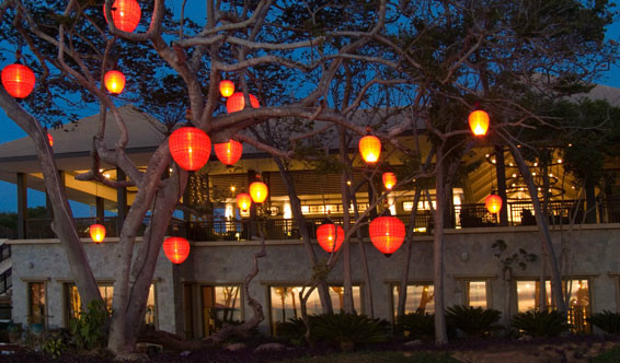 YYZHcTqYMAAAYsRcdDpKMAAA&ek=1&kp=1&pt=0&su=1